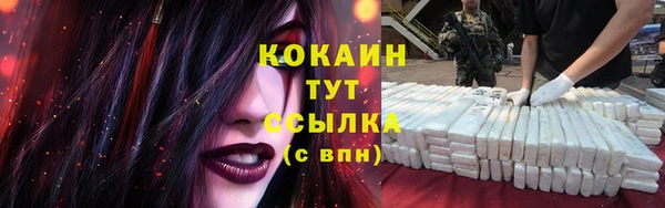 mdpv Арсеньев