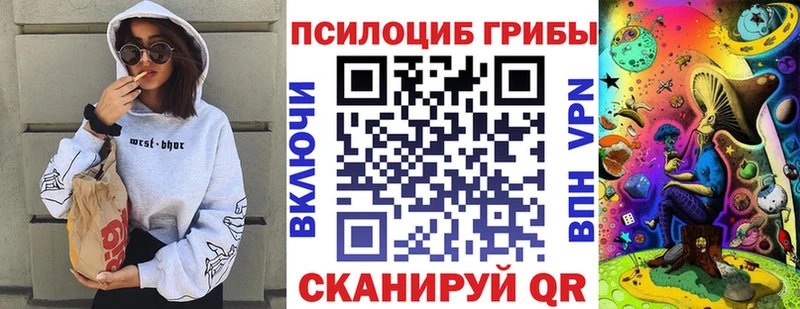 Галлюциногенные грибы Cubensis  хочу   Южно-Сухокумск 